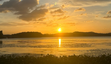 Wallet V 聚合xStocks、aster&hyperliquid、polymarket&mdash;&mdash;不用开户、不用 KYC，在手机上直接买美股、做合约、玩预测市场